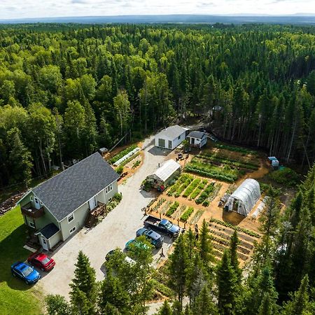 Upper Humber Settlement A Farmstay B&B Cormack 外观 照片