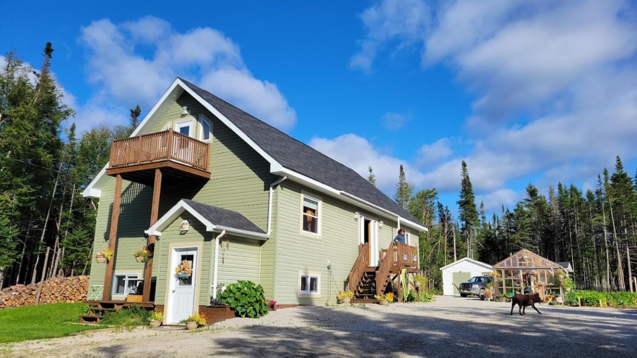 Upper Humber Settlement A Farmstay B&B Cormack 外观 照片
