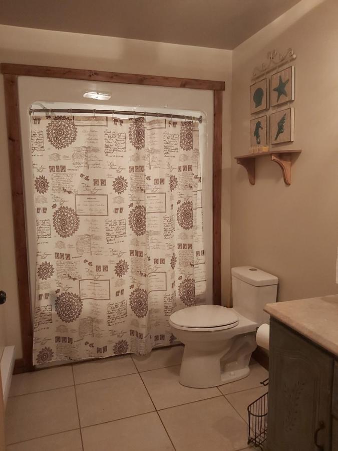 Upper Humber Settlement A Farmstay B&B Cormack 外观 照片