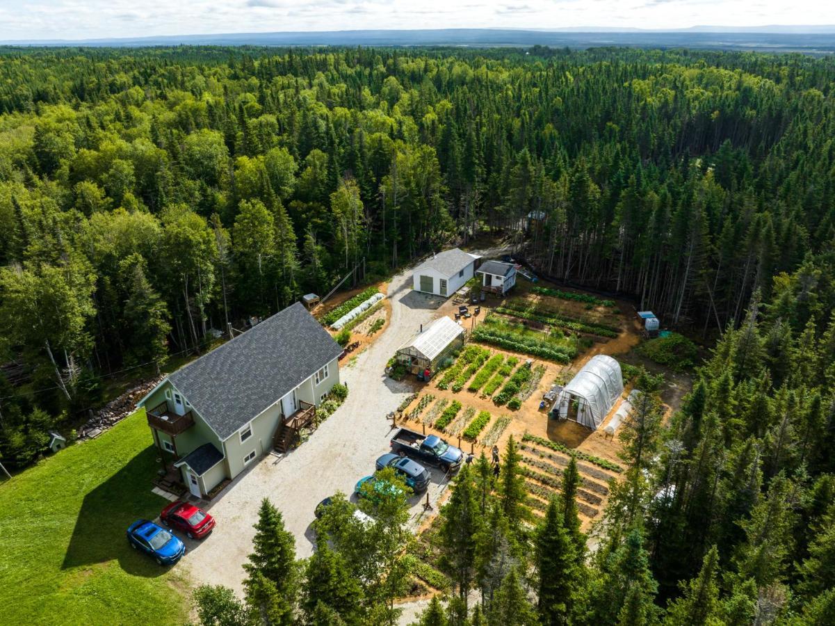 Upper Humber Settlement A Farmstay B&B Cormack 外观 照片