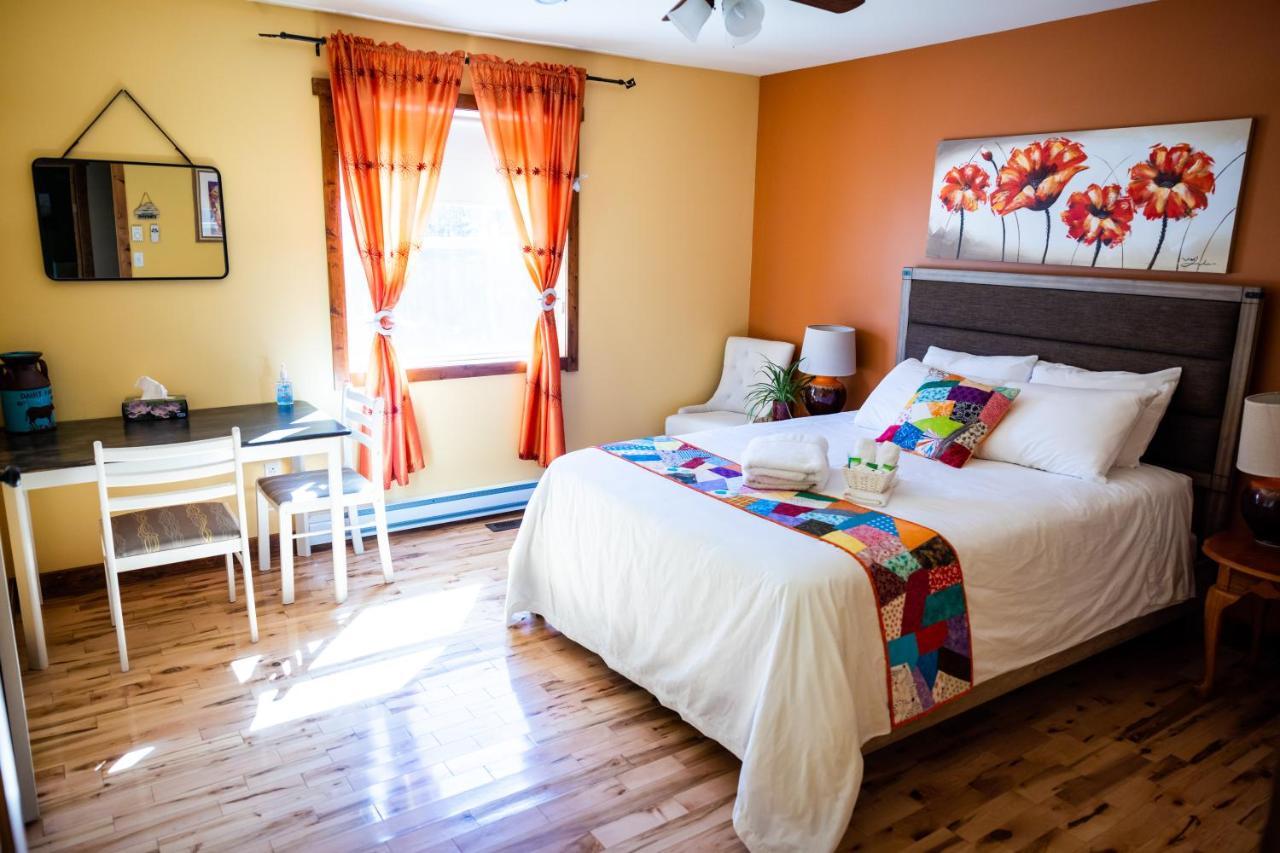 Upper Humber Settlement A Farmstay B&B Cormack 外观 照片