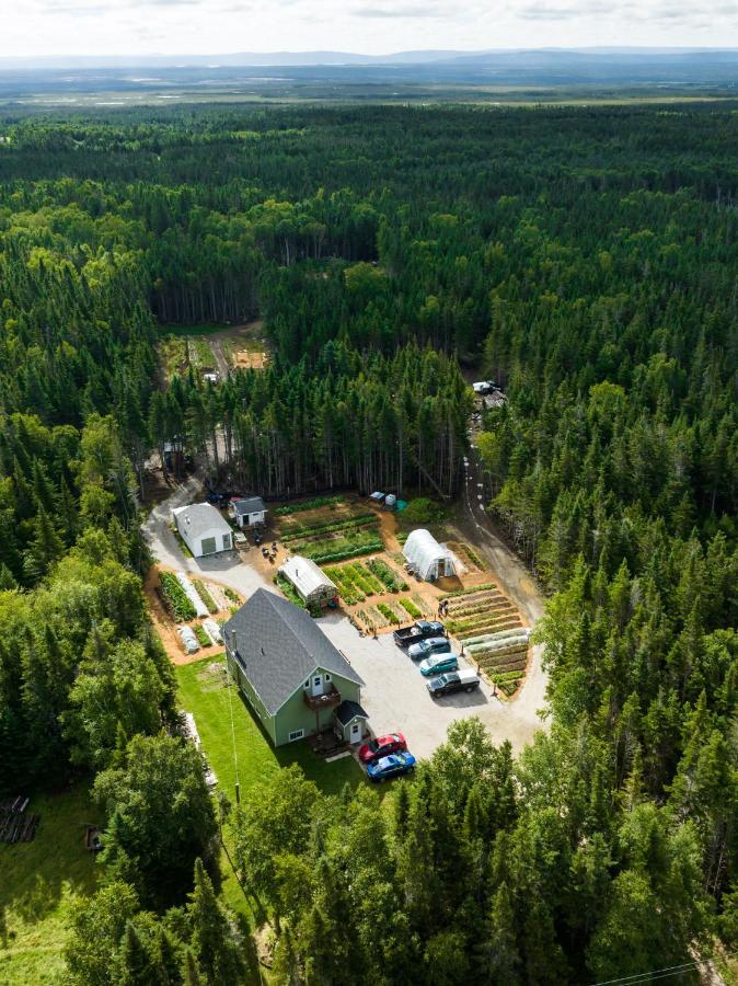 Upper Humber Settlement A Farmstay B&B Cormack 外观 照片