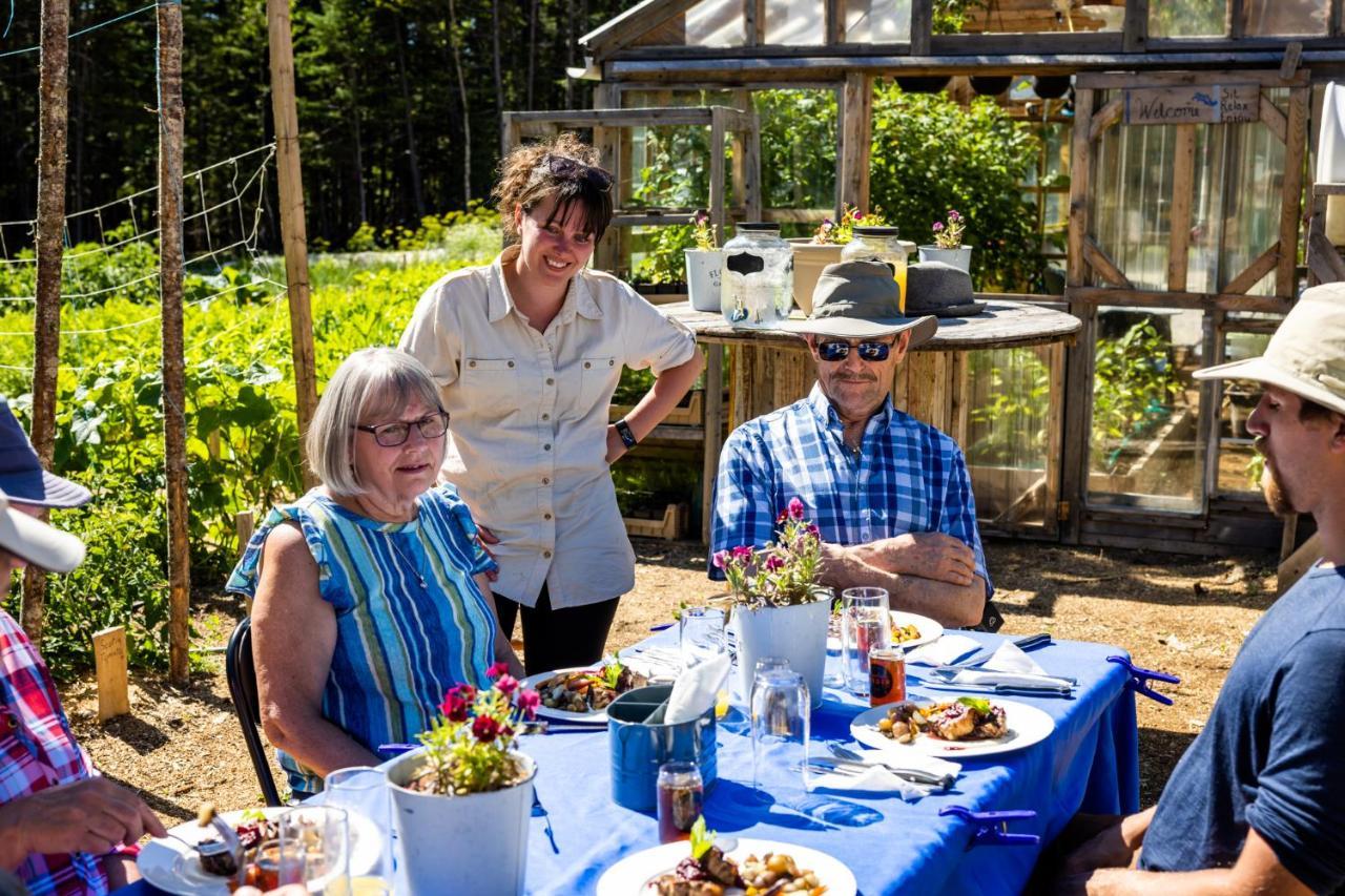 Upper Humber Settlement A Farmstay B&B Cormack 外观 照片